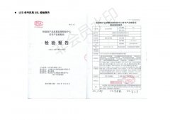 LED 信号机构 XSL 检验报告
